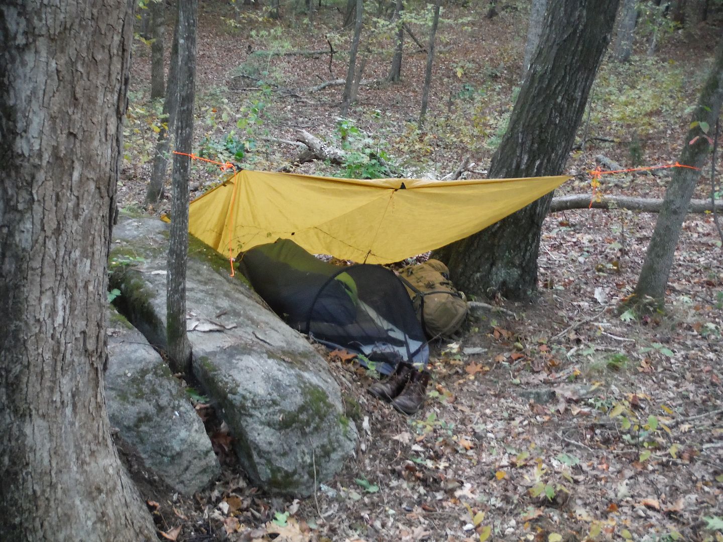 Stealth Camping Trip...